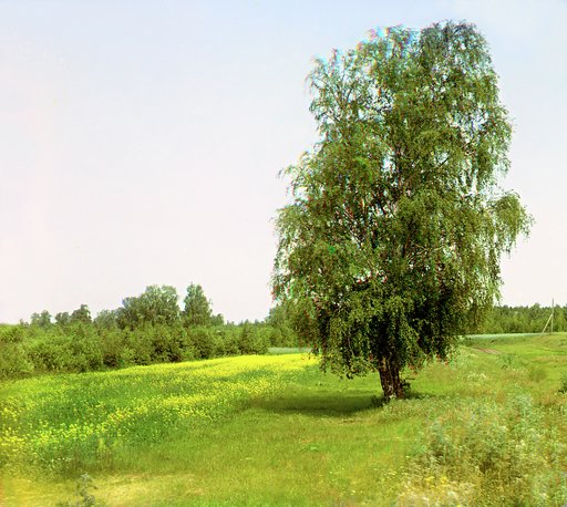 Po puti ot Dalmatova