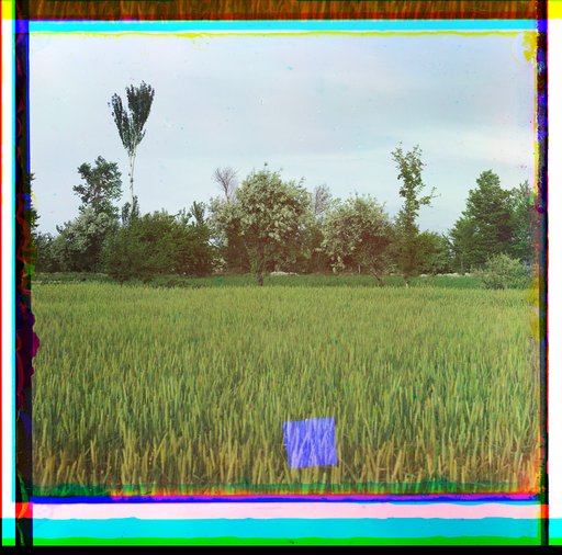 Meadow, trees in background