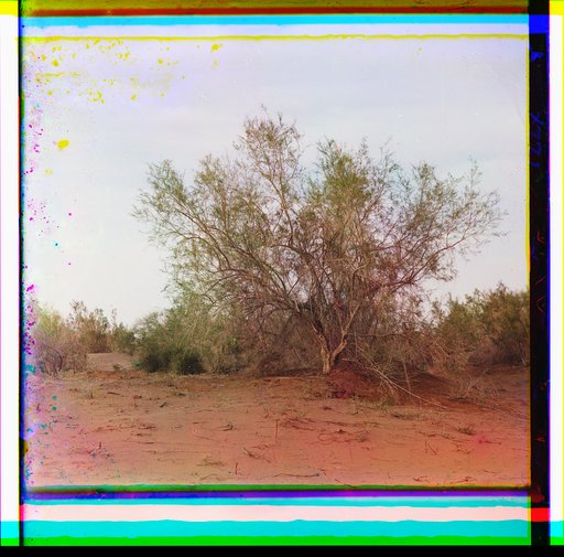 Trees