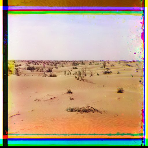 Sands starting to grow over with plants near Repetek station, Turkmenistan