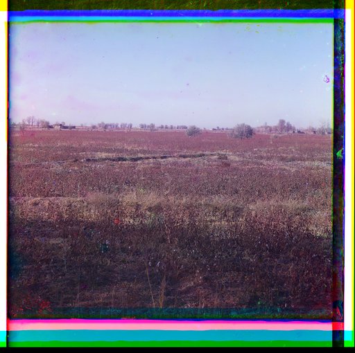 Cotton field on the estate of Grand Duke Nicholas Konstantinovich. Golodnaia Steppe