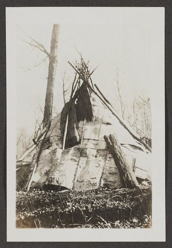 Birch bark wigwam of the Chippewa Indians