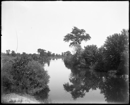 Pine River, Alma, Mich.