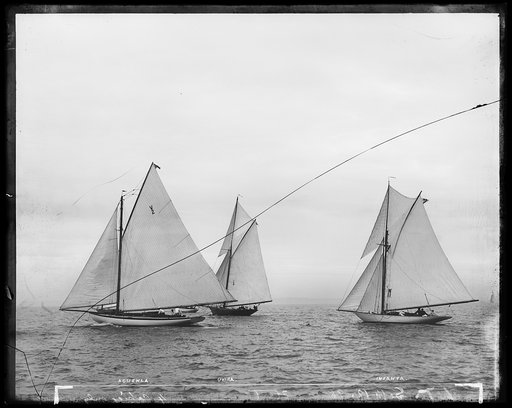 Acushla, Uvira, Infanta