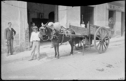 Native mule & cart, Havana