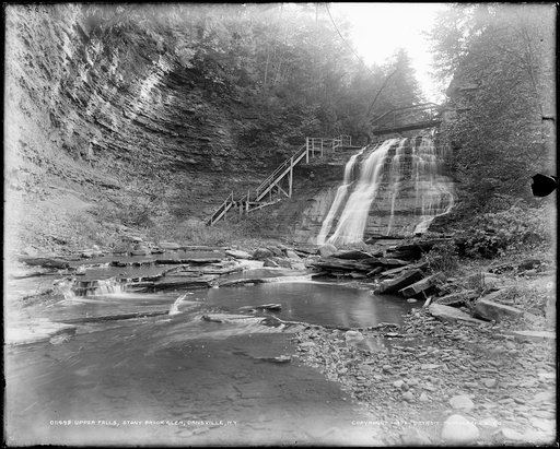 Upper falls, Stony Brook Glen, Dansville, N.Y.