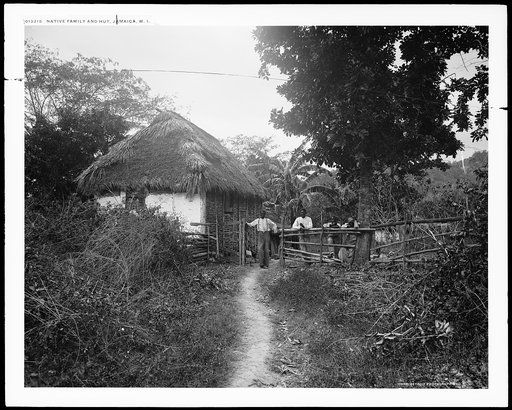 Native family & hut, Jamaica, W.I.
