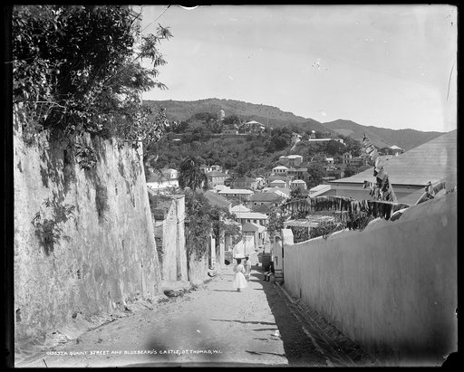 A quaint street and Bluebeard's Castle, St. Thomas, W.I.