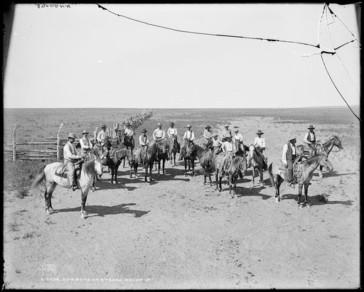 Cowboys on a Texas roundup