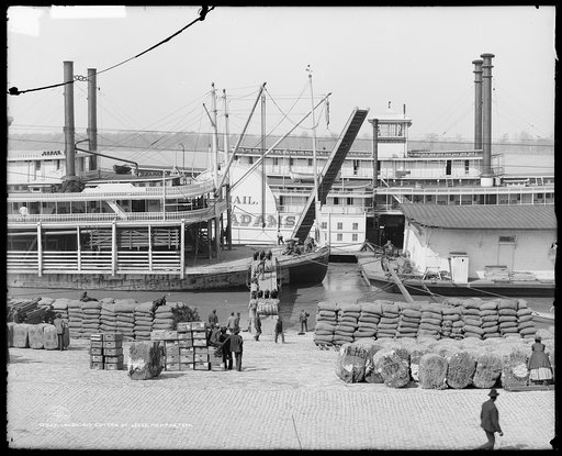 Unloading cotton at levee, Memphis, Tenn.