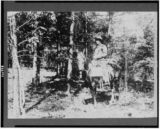 A Ranger on horseback