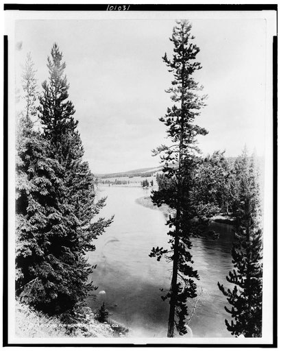 Yellowstone River, five miles from Yellowstone Lake, Yellowstone National Park, reached by the Northern Pacific Railway via Gardiner Gateway