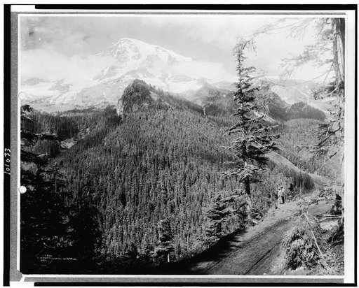 Mt. Rainier from Rickseekers Point with man and woman standing looking over the forest, Mt. Rainer National Park, Washington