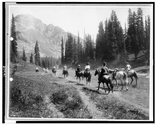 Horseback riders on the trail of Indian Henry's, Mt. Rainier National Park, Washington