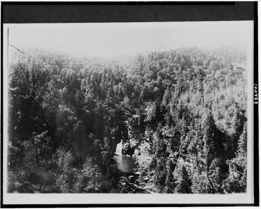 Mt. Mitchell Reservation, N.C. Bynums Bluff