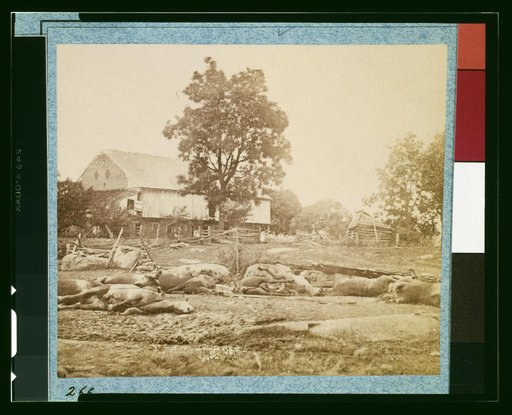 Dead horses of Bigelow's (9th Massachusetts) Battery