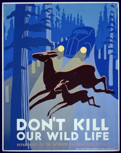 Don't kill our wild life