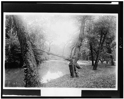 Stream in Rock Creek Park, Washington, D.C.