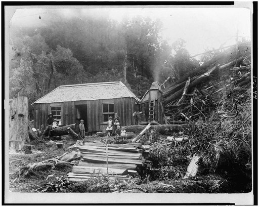 Settler's homestead, New Zealand