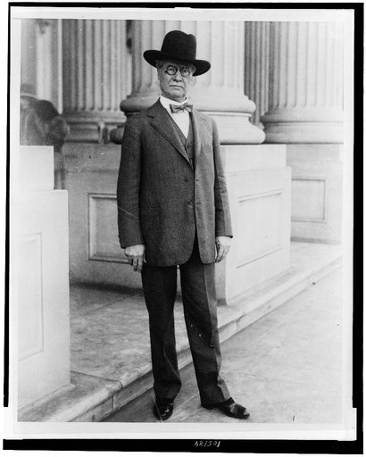 Senator Coleman Blease, full-length portrait, standing, facing front