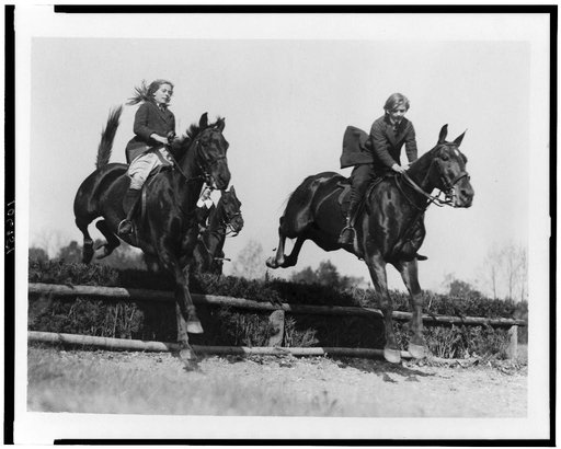 Three girls on horseback as their horses jump a hedge