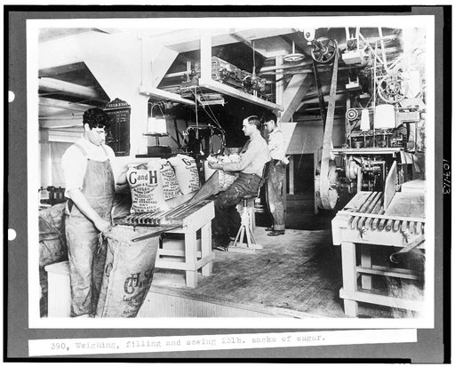 Weighing, filling and sewing 25 lb. sacks of sugar