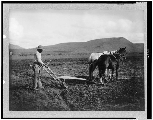 Sacaton Indian Reservation.  Indian plowing his land.  Salt River Project