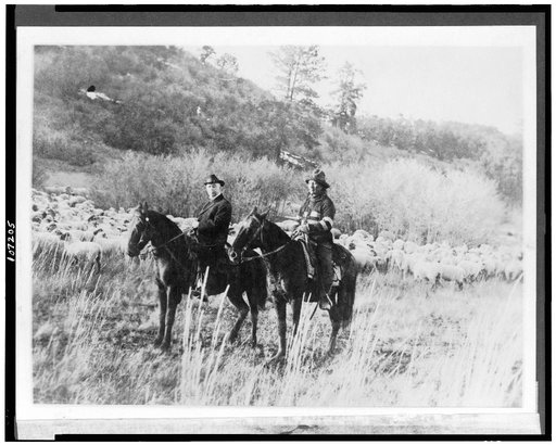 Edd Ladd, full-blood Apache Indian, of the Jicarilla Reservation, New Mexico, with Indian Commissioner Cato Sells, on horseback