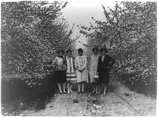 Five women from Winchester, Va. who will be maids of honor to the Queen in the annual Shenandoah Apple Blossom Festival, under some of the blossoming trees: Julia Rene, Susan Steck, Mary Russell, Lillian Smith and Elizabeth Hollin