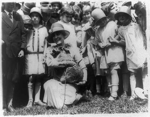 Mrs. Coolidge exhibits her pet raccoon (Rebecca) to children gathered in the White House grounds for Easter egg rolling