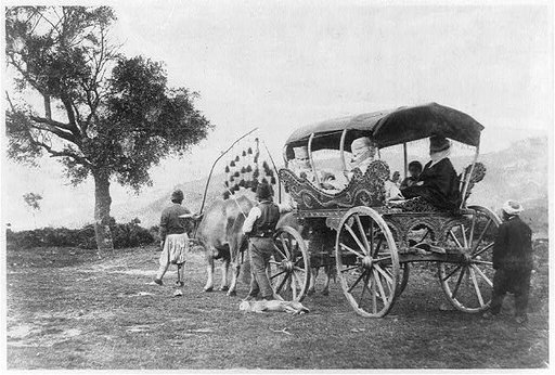 Women in carriage drawn by oxen