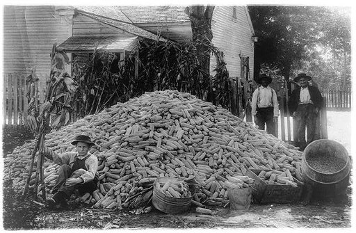 Two men and a boy with a large pile of corn