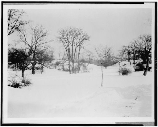 First snow of the season in Central Park, New York City