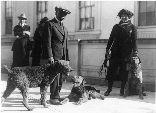 Afro-American White House kennel keeper and woman with three airedales of Warren G. Harding