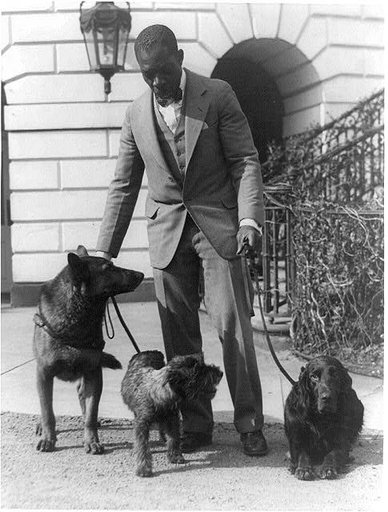 Robert R. Robinson, kennel master at the White House, with pets of Herbert Hoover, King Tut, a Belgian police dog; Whoopie, a schnauzer; and Englehurst Gillette, a Gordon setter