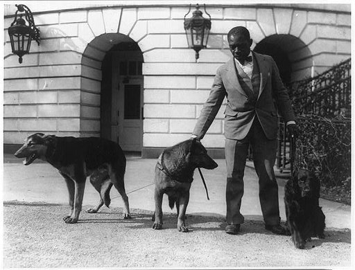 Robert R. Robinson, kennel master at the White House for Herbert Hoover's dogs, Buckeye, a German police dog; King Tut, a Belgian police dog; and Englehurst Gillette, a Gordon setter