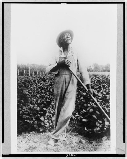 Full-length portrait of man, standing in field, with hoe(?), looking upward, in Washington, D.C. or New York area