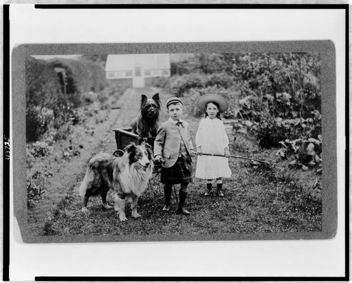 Boy and girl with two dogs and a wagon