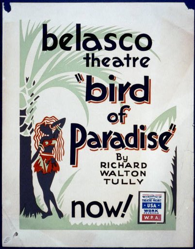 "Bird of paradise" by Richard Walton Tully
