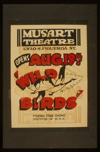 "Wild birds"