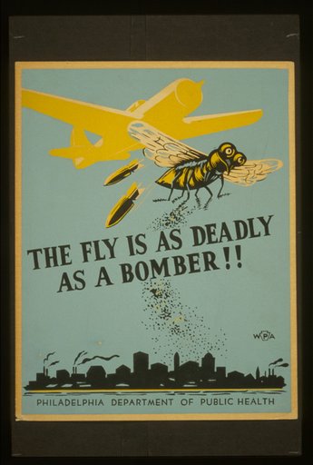 The fly is as deadly as a bomber!!