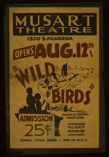 "Wild birds" Drama of youthful emotions.