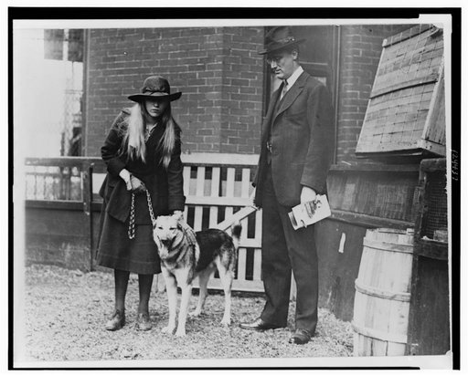 Seventh annual Dog Show of the Washington Kennel Club