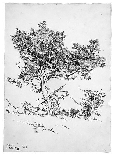Cedars, Bellport, Long Island