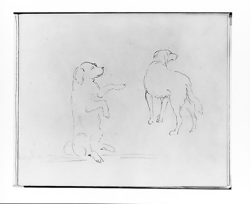 Two Studies of a Dog (from Sketchbook)