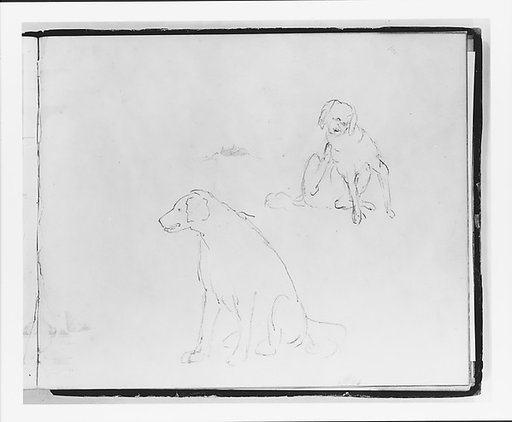 Two Studies of a Dog: Seated and Scratching (from Sketchbook)