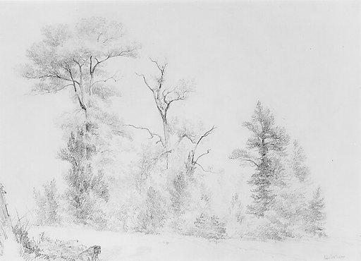 Three Trees, Hoboken