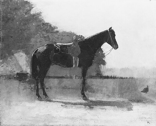Saddle Horse in Farm Yard