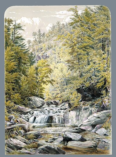 Catskill Clove