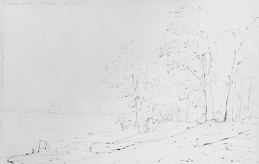 The Susquehanna at Nanticoke (River Walk on the Susquehanna)
